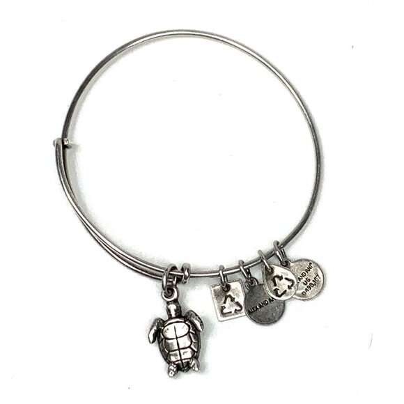 Alex and Ani Turtle Charm Bracelet Silver Finish - Expands 2"- 3.5" - Picture 2 of 2